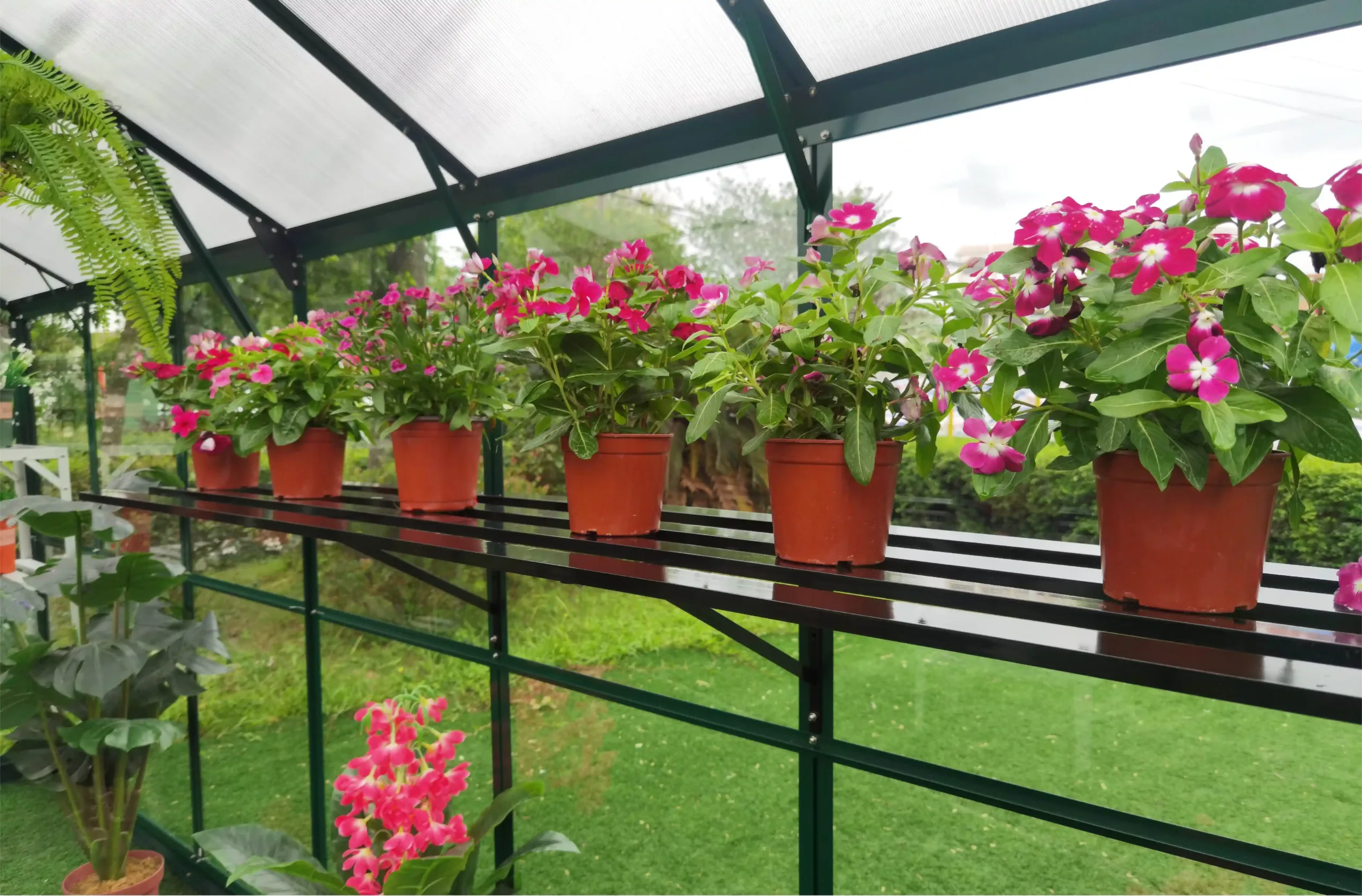 Gardenmeister, greenhouse, orangery, plant rack, aluminium